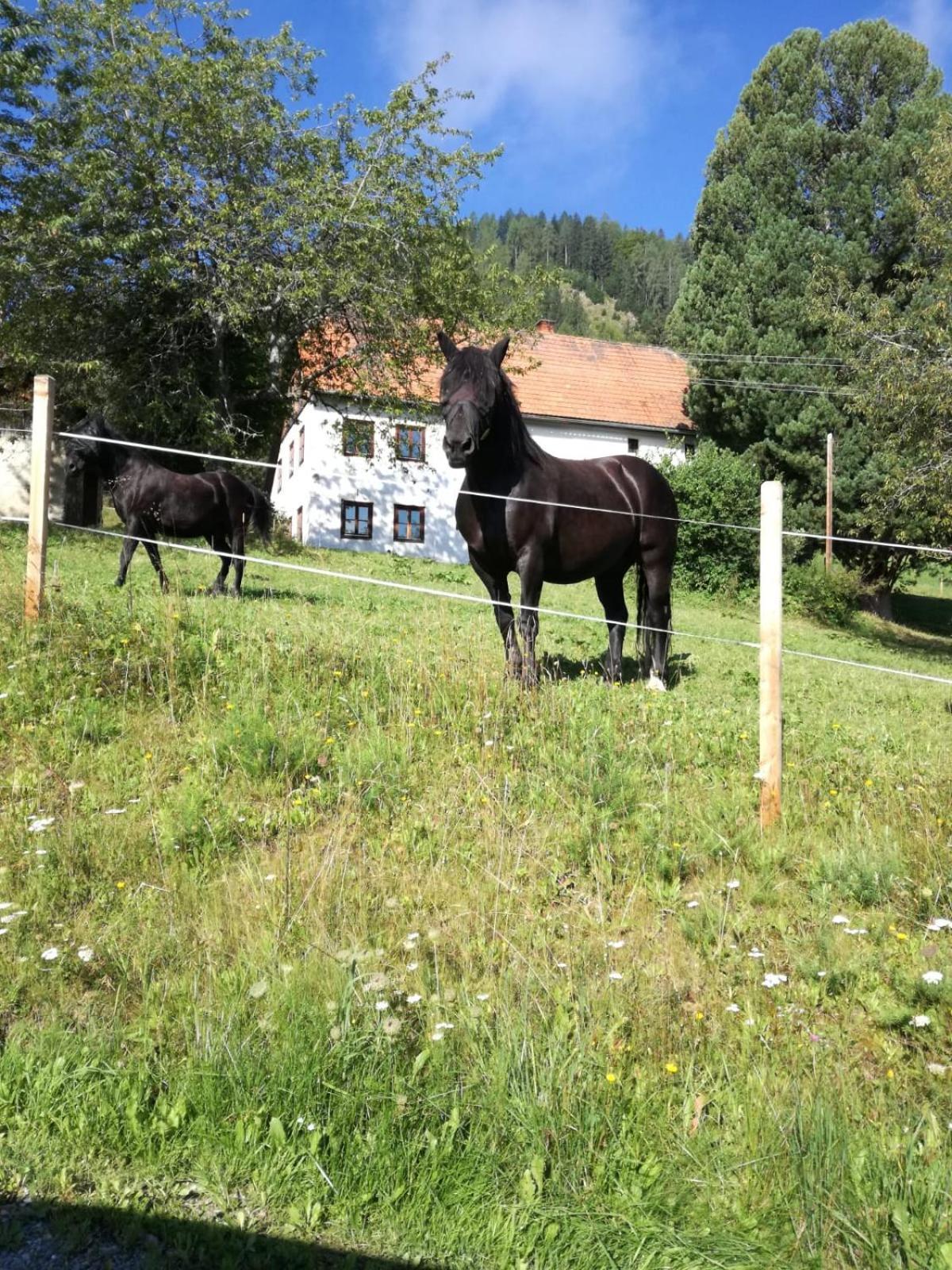 Sankt Blasen Chalet Bergblick מראה חיצוני תמונה